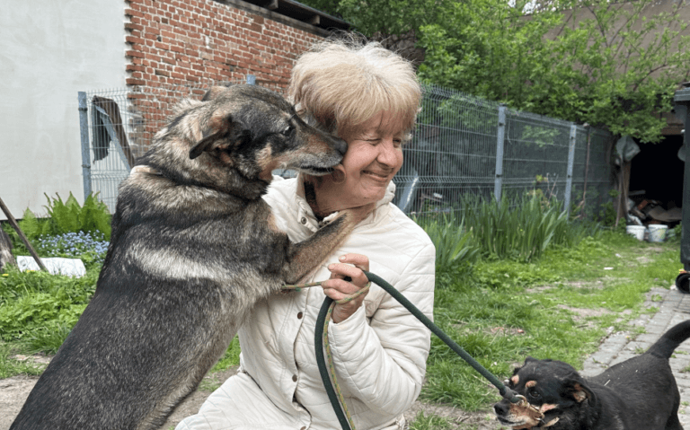 Pani Wiesia Wolontariat