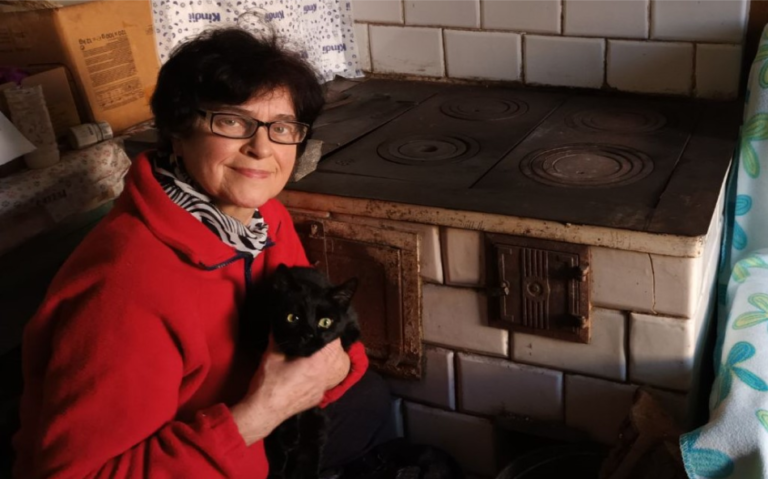 Kocie Przytulisko Pani Emilki