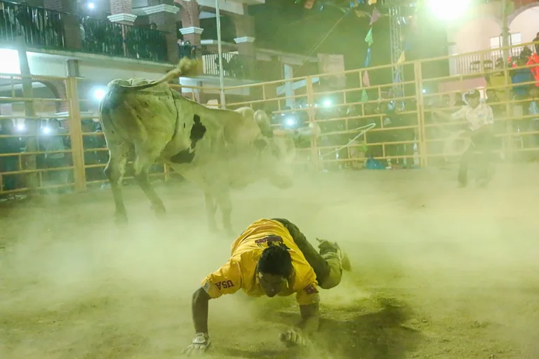 Fundacja Dobre Duszki Przeciwko Rodeo