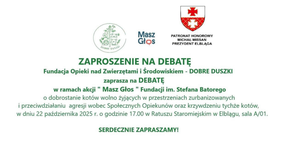Dołącz do debaty o kotach wolno żyjących w Elblągu