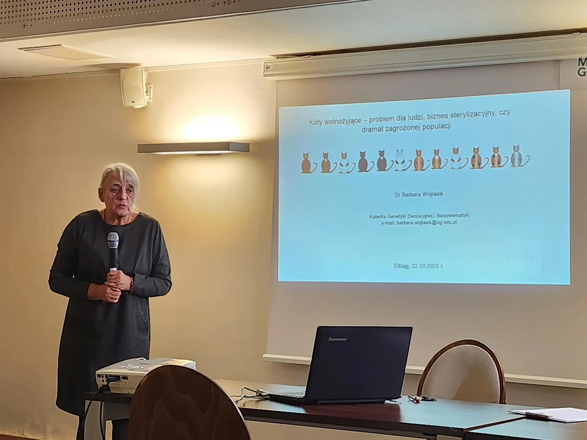 Debata o kotach wolno żyjących w Elblągu – rozmowa o odpowiedzialności i ochronie