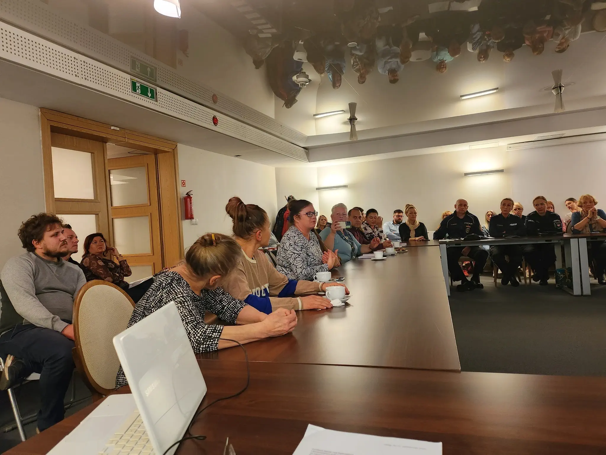 Debata o kotach wolno żyjących w Elblągu – rozmowa o odpowiedzialności i ochronie