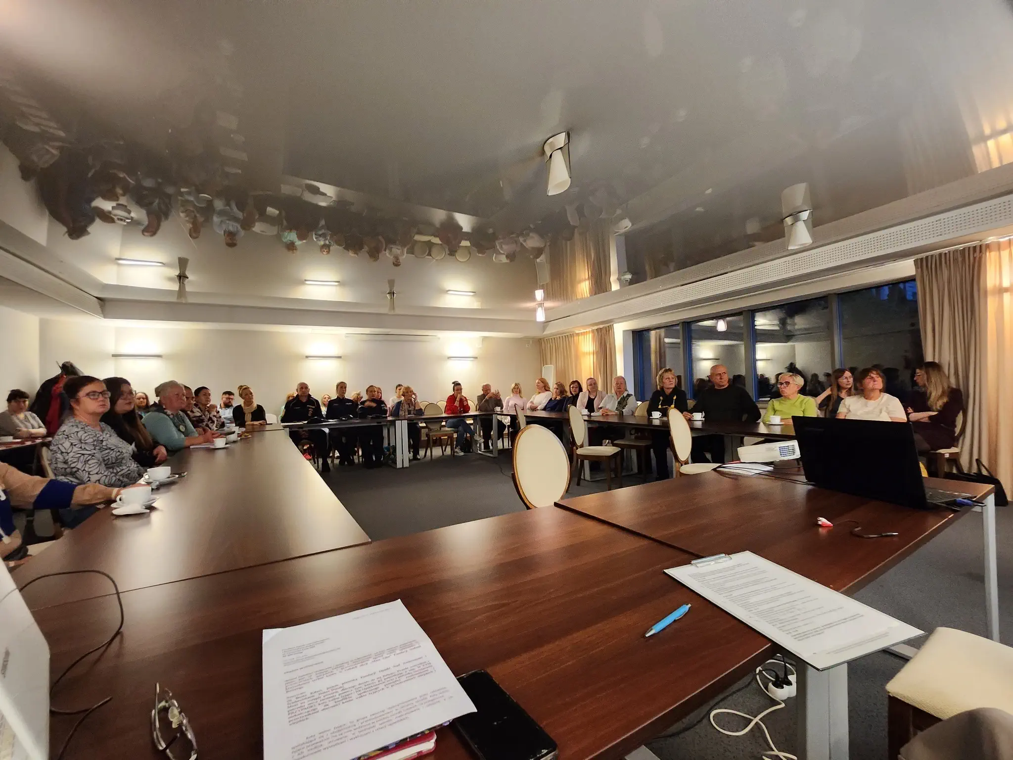 Debata o kotach wolno żyjących w Elblągu – rozmowa o odpowiedzialności i ochronie