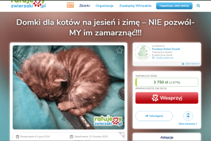 Ciepłe Domki dla Kotów – Zatrzymajmy Zimowy Koszmar!