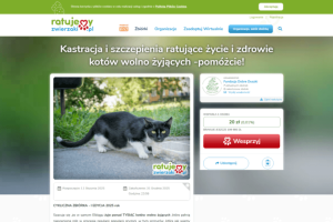Zbiórka – kastracja i szczepienia ratujące życie kotów wolno żyjących